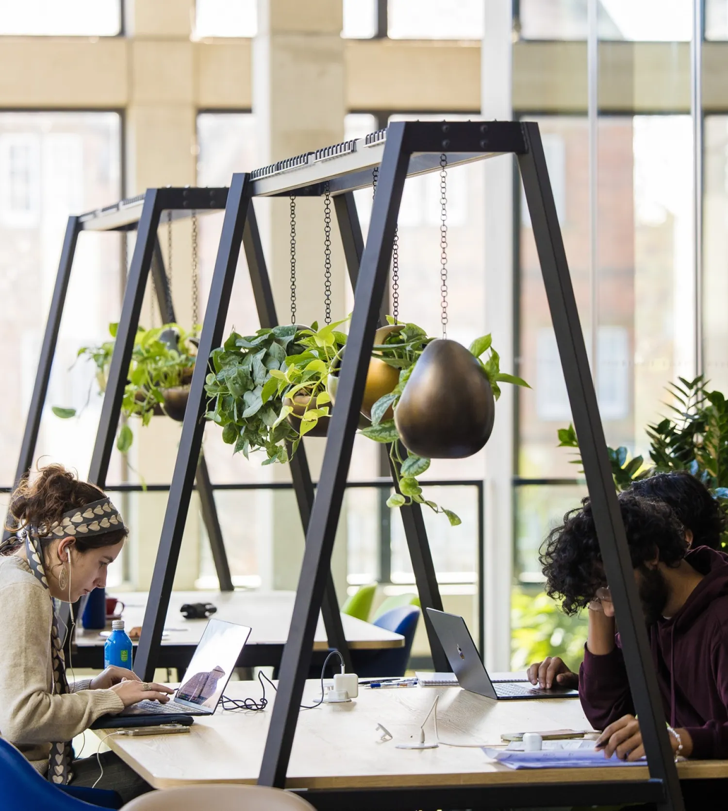 Students studying at a cafe table with hanging plants above
