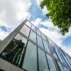 looking up at blue sky, tree canopy and glass building.