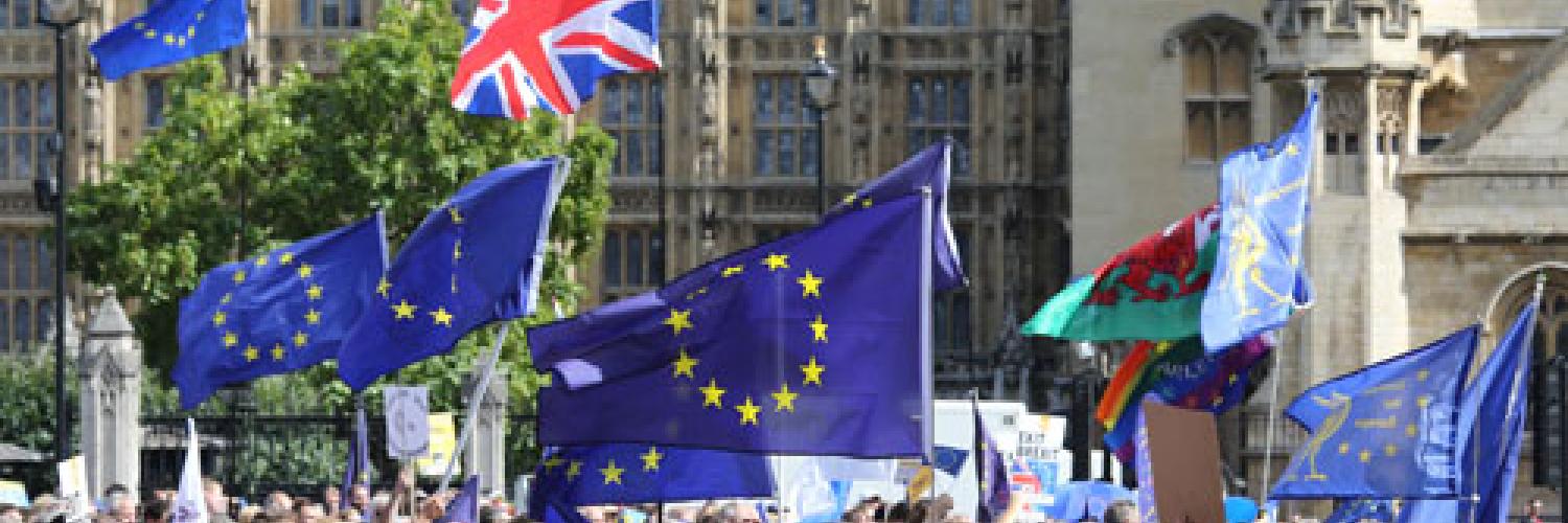 A group of people protesting outside the Houses of Parliament with Union Jack and EU flags