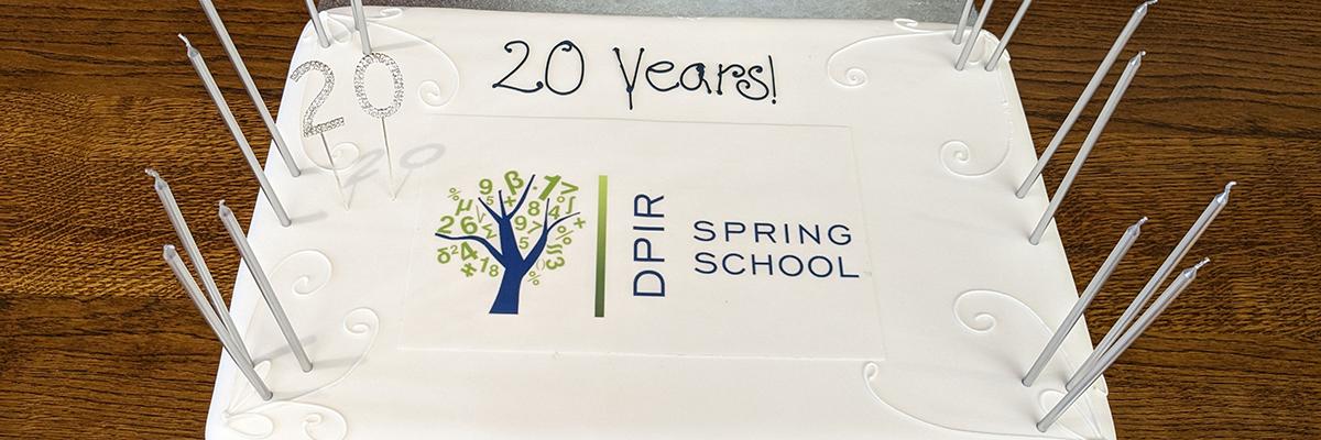 A white cake with candles and '20 years DPIR Spring School' written on it 