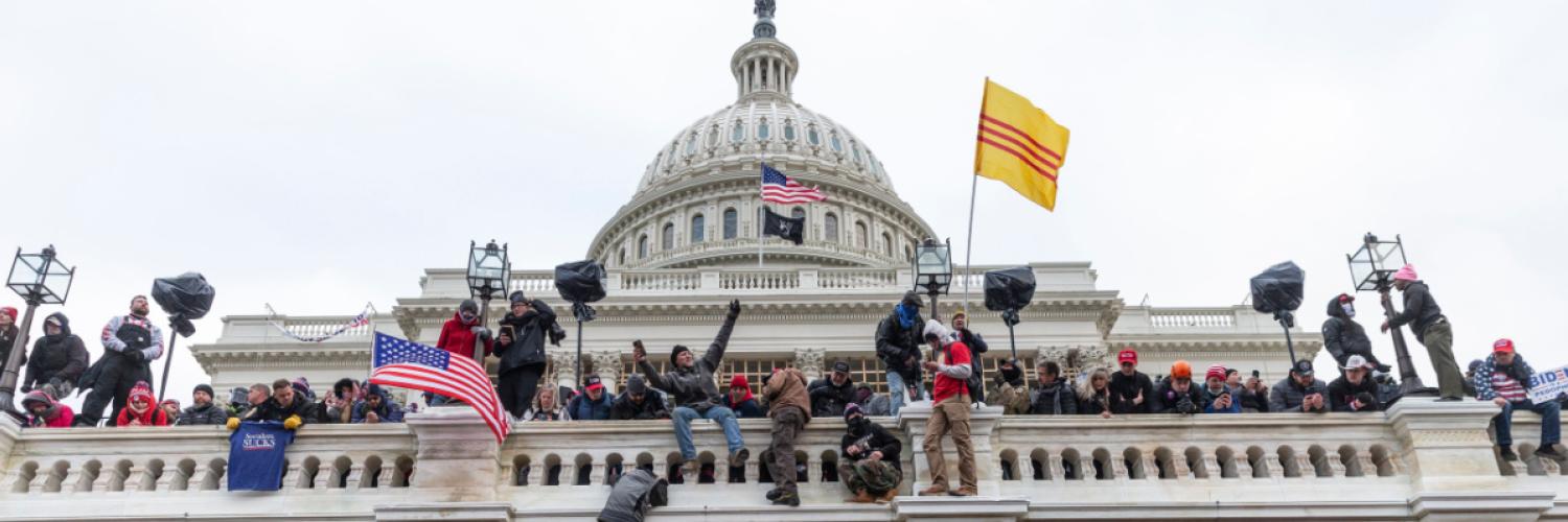 A crowd are climbing a building with various flags