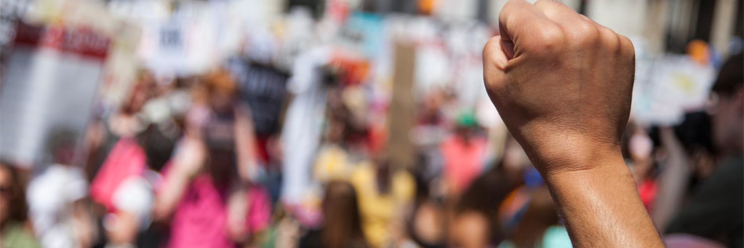 A person holding up a fist in a crowd of people