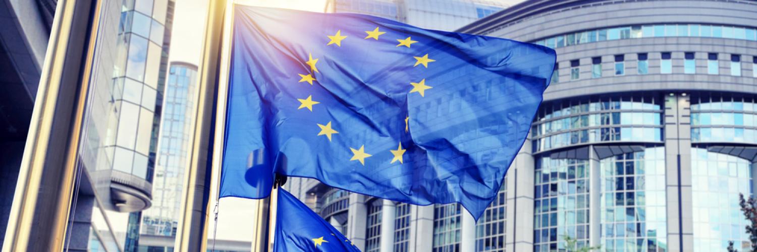 EU flags waving in front of European Parliament building