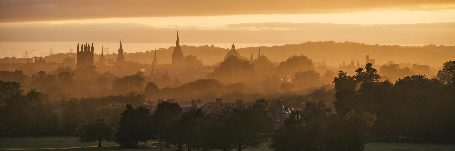 Image of a skyline at sunset