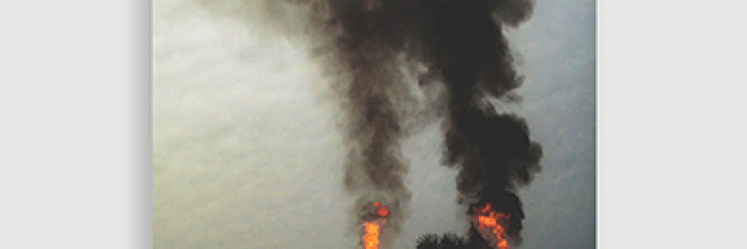 Oil and Politics in the Gulf of Guinea Published by: Hurst and Oxford University Press (US)