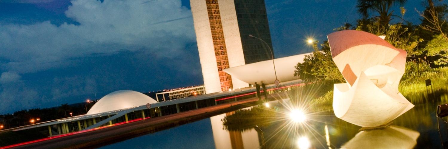 The Prospects for President Rousseff's Coalition Government  in Brazil