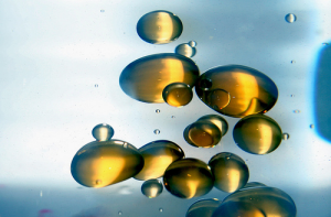 Professor David Anderson comments on Somalian drought and Libyan oil