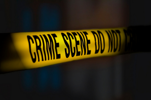 John Lloyd on the impact of economic recession on politics and crime