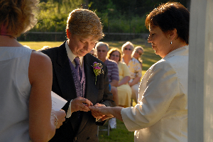 Analysis of Professor Iain McLean and Dr Scot M. Peterson on same-sex marriage cited