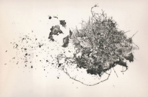 Dr Gwendolyn Sasse co-curates Conflicted Memory art exhibition