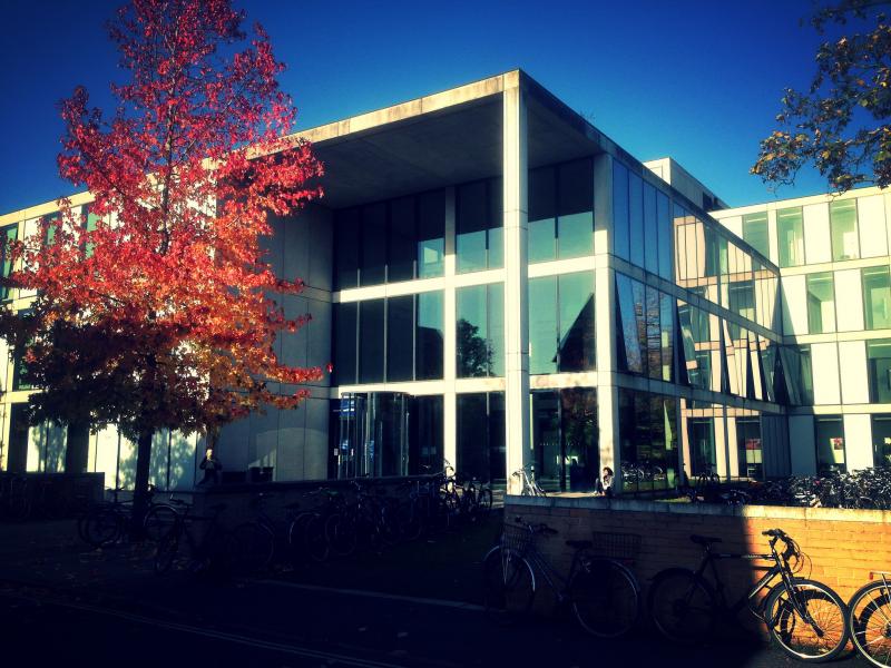 New academic appointments for Michaelmas term