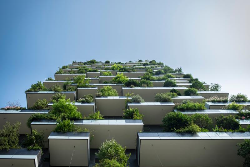 Dr Angela Cummine’s research cited in Guardian article on economic ideas for the Climate Change era