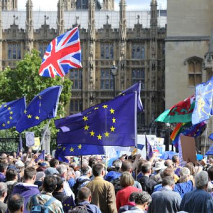 A group of people protesting outside the Houses of Parliament with Union Jack and EU flags