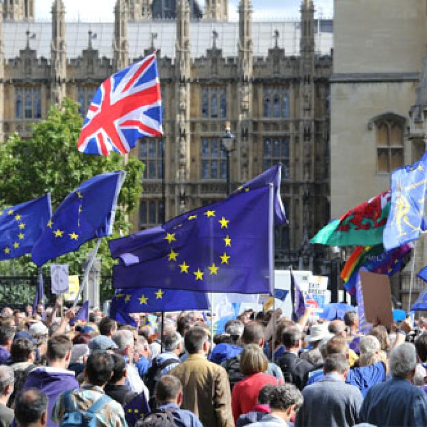 A group of people protesting outside the Houses of Parliament with Union Jack and EU flags