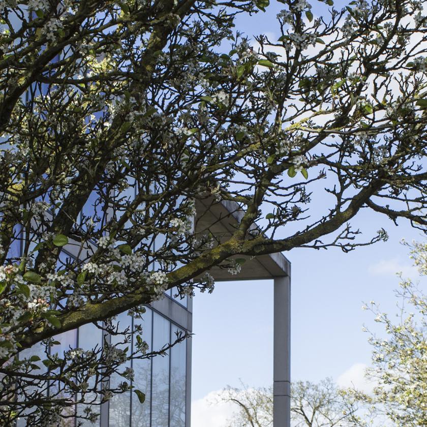 DPIR retains top place in Complete University Guide