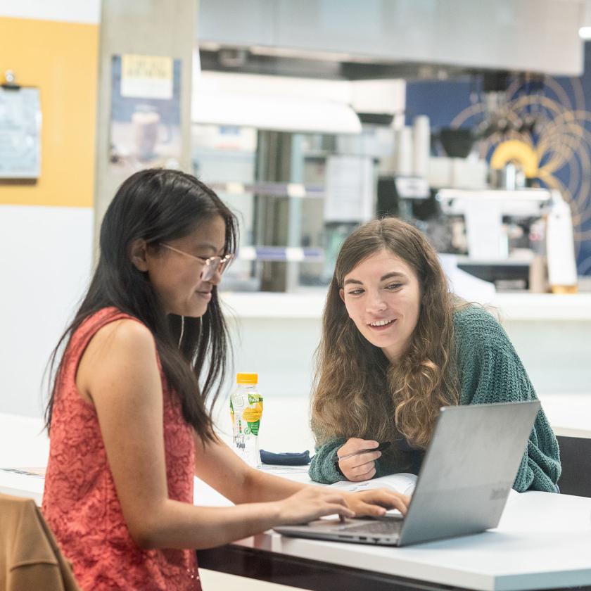 Two students sat at a desk working on a laptop