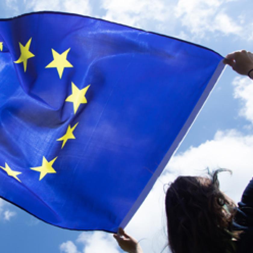 a person holding a flag