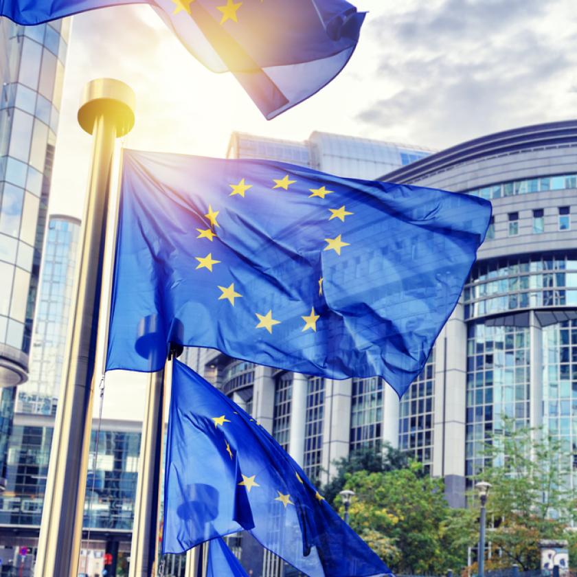 EU flags waving in front of European Parliament building