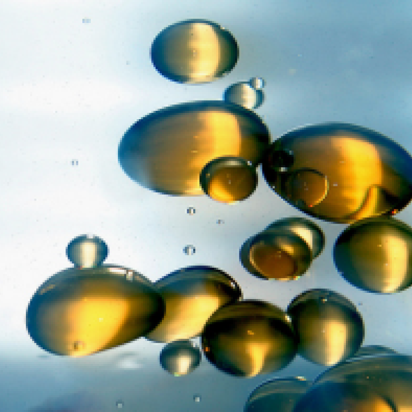 Professor David Anderson comments on Somalian drought and Libyan oil