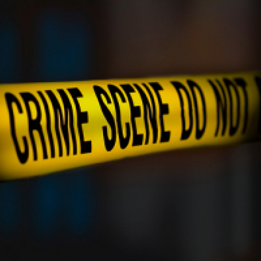 John Lloyd on the impact of economic recession on politics and crime