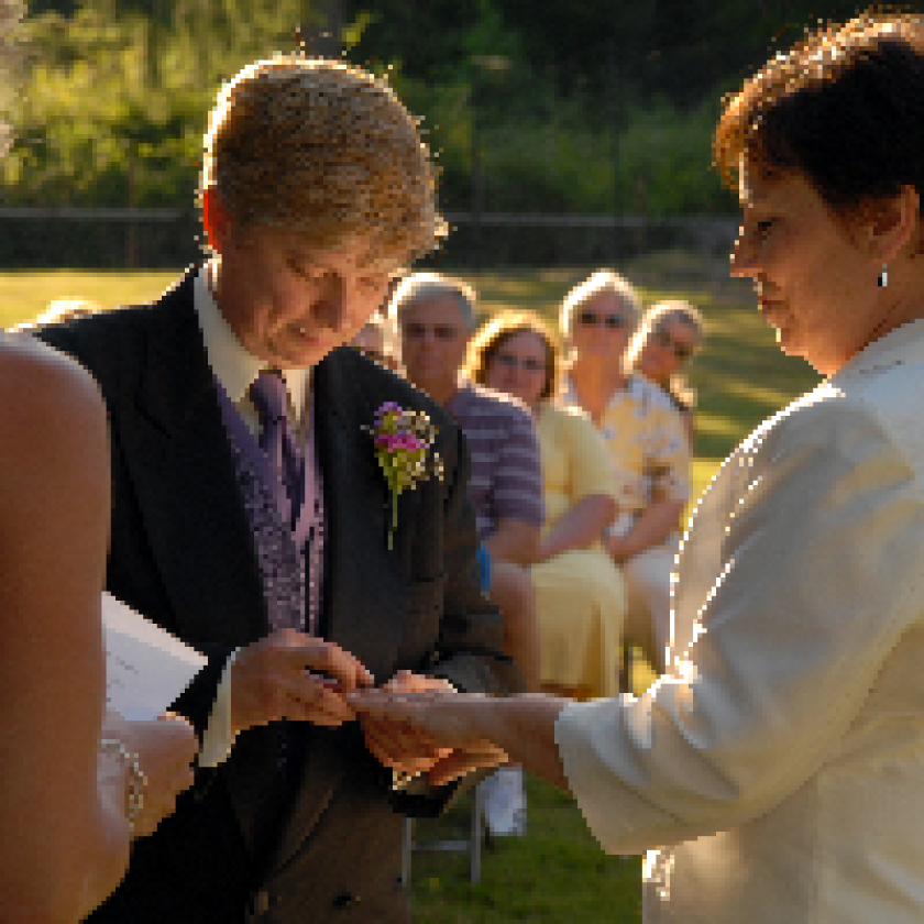 Analysis of Professor Iain McLean and Dr Scot M. Peterson on same-sex marriage cited