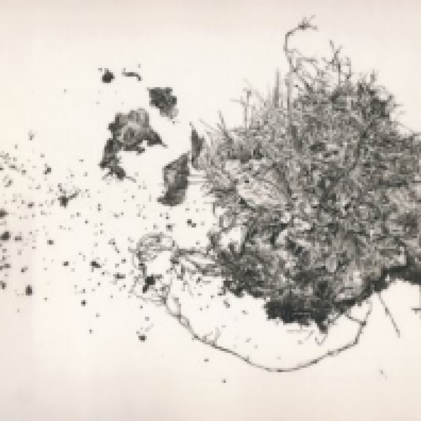 Dr Gwendolyn Sasse co-curates Conflicted Memory art exhibition
