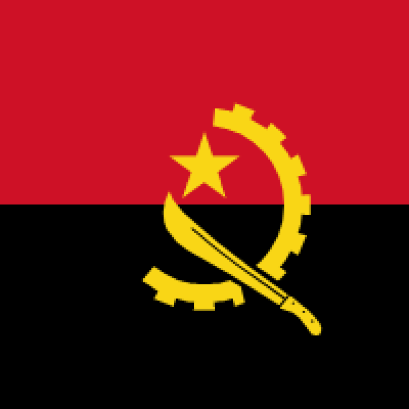 Dr Ricardo Soares de Oliveira comments on Angolan privatization