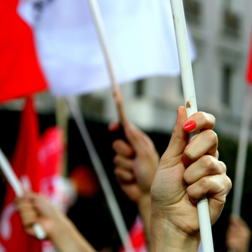 Professor Catherine De Vries comments on the rise of the fringe parties in Europe