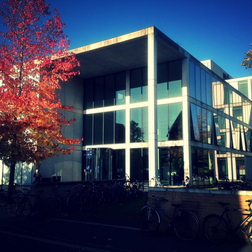 New academic appointments for Michaelmas term