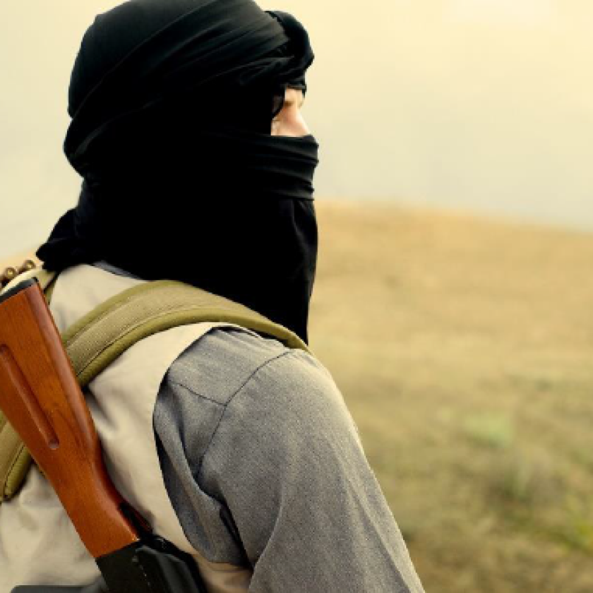 Analysing and Understanding Violent Non-State Groups