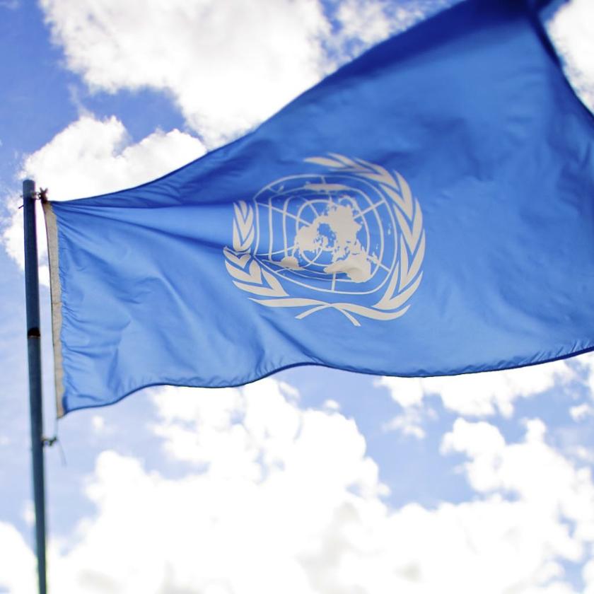 Adam Roberts gives evidence on priorities for the new UN Secretary-General