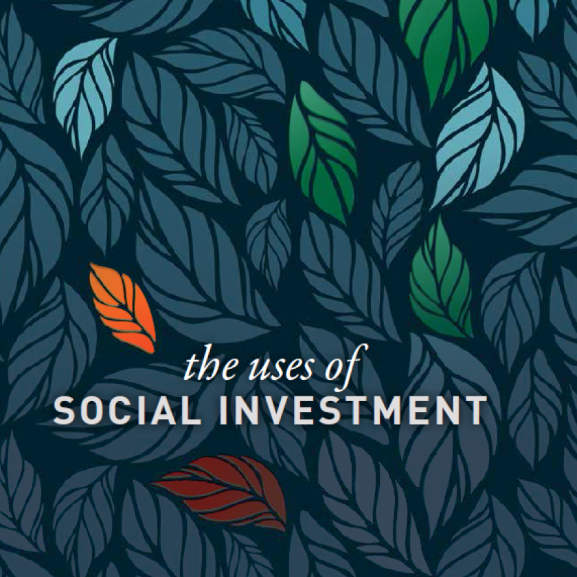 The Uses of Social Investment by Anton Hemerijck