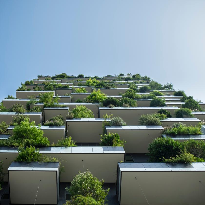Dr Angela Cummine’s research cited in Guardian article on economic ideas for the Climate Change era