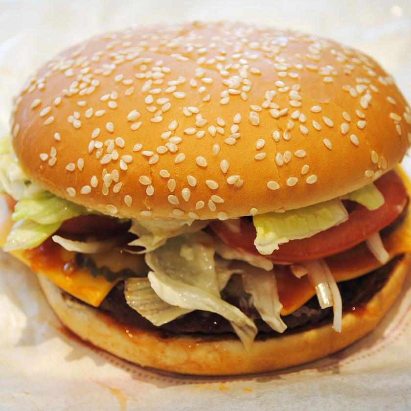 Political Fact-Checking and the 'King of Whoppers'