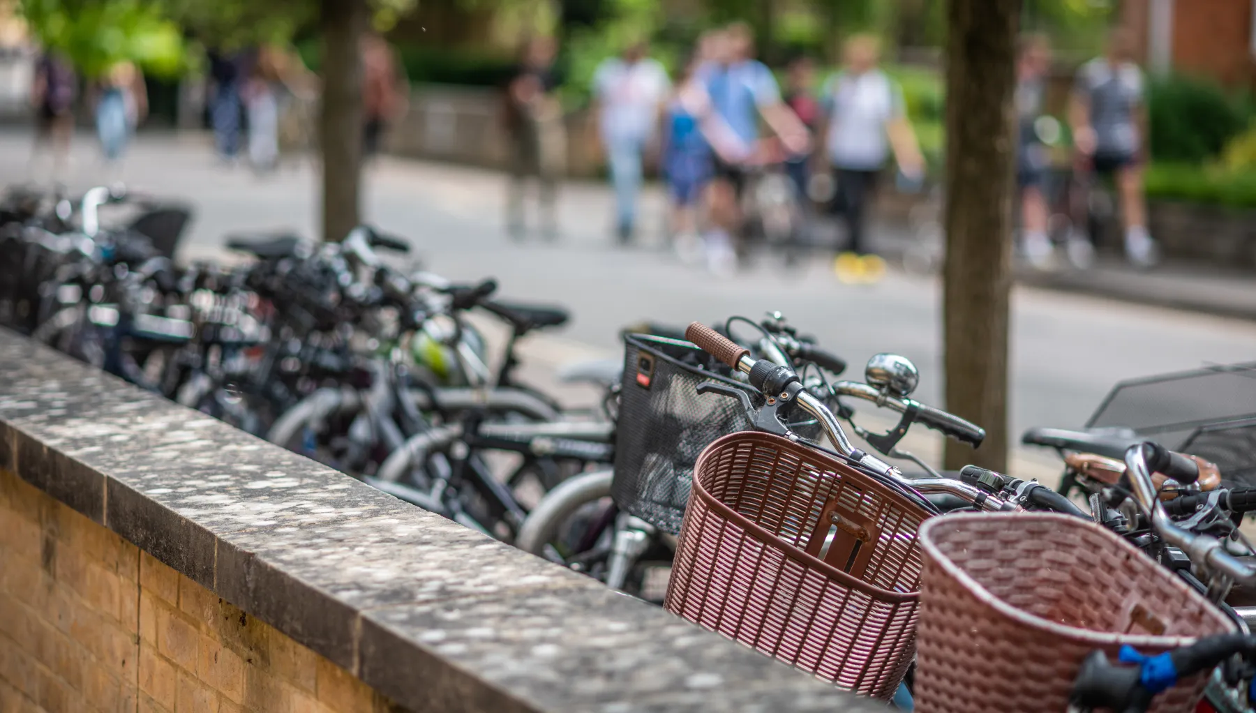 Image of Bikes