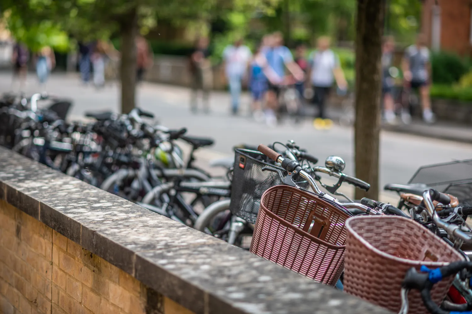 Image of Bikes