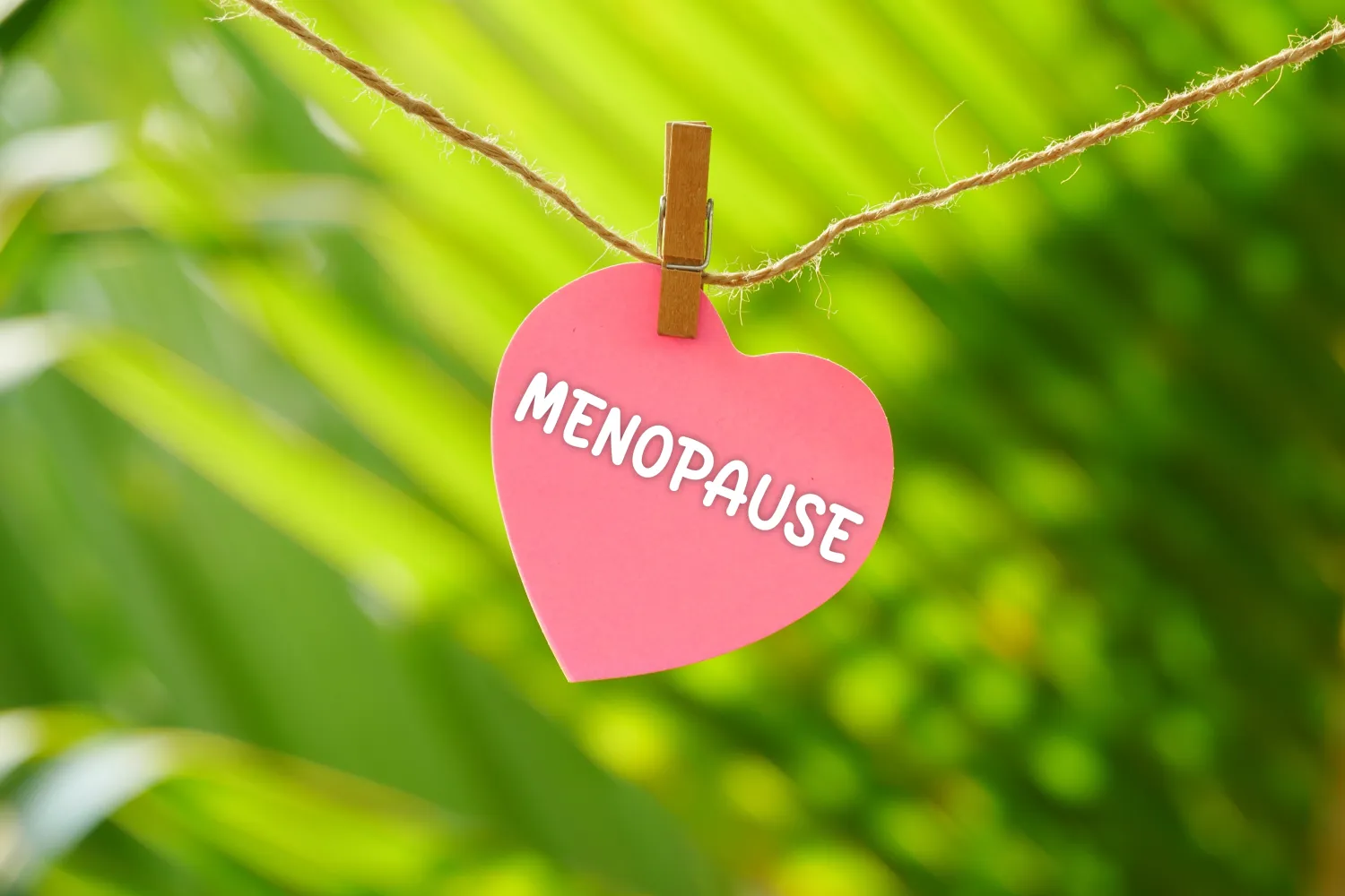 image of a pink paper heart with the word menopause on it pegged to a piece of string against a green background