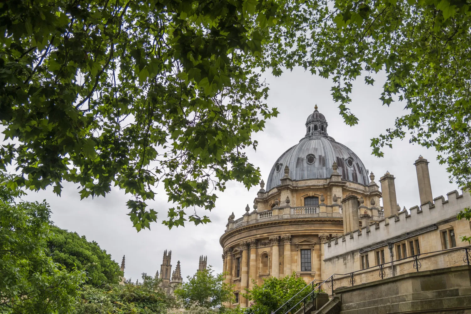 Image of a building with the branches of a tree in the foreground